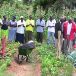02-farmers-clubs-01-1