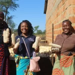 Farmers' Clubs Southern Province - Club members showing off their maize produce in Monze